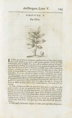 Thée - Histoire générale des drogues, traitant des plantes, des animaux, & des mineraux ; ouvrage en [...]