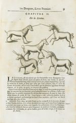 De la licorne : Camphur / Pirassoipi /Licornes de Jonstonius - Histoire générale des drogues, traita [...]
