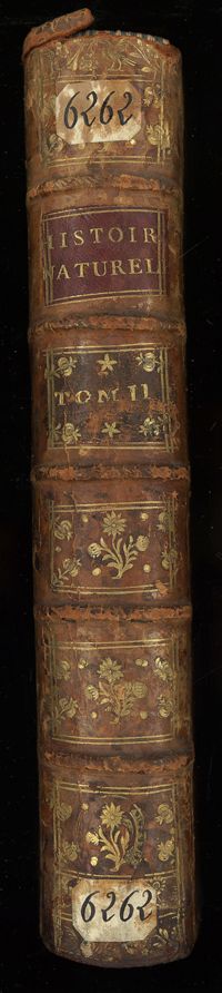 0001 - Page sans numérotation - [Dos]