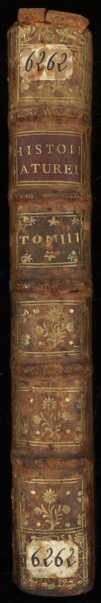 0001 - Page sans numérotation - [Dos]