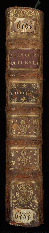 0001 - Page sans numérotation - [Dos]