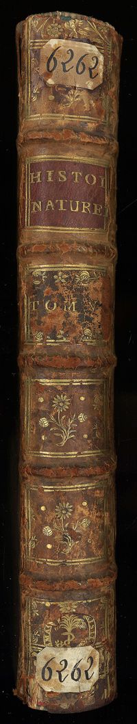 0001 - Page sans numérotation - [Dos]