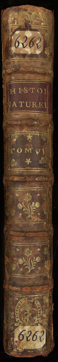 0001 - Page sans numérotation - [Dos]