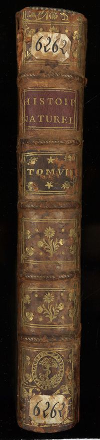 0001 - Page sans numérotation - [Dos]