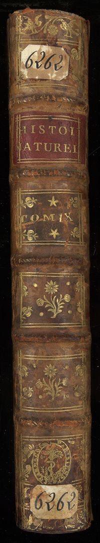 0001 - Page sans numérotation - [Dos]