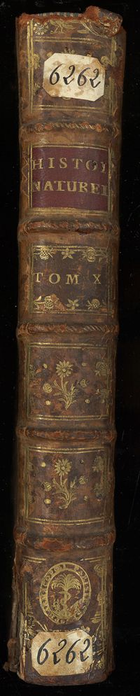 0001 - Page sans numérotation - [Dos]