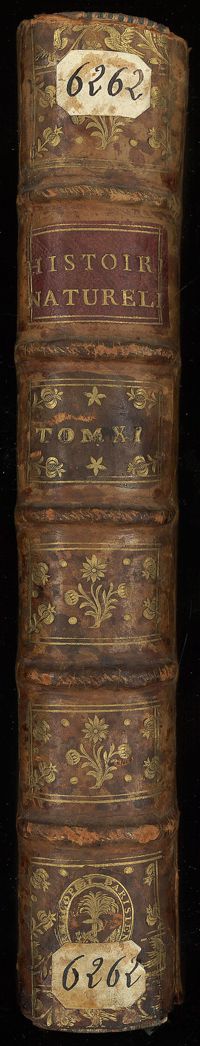 0001 - Page sans numérotation - [Dos]