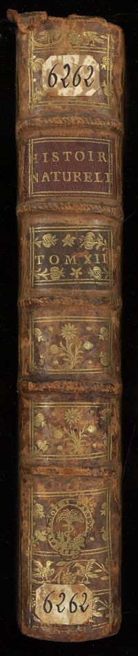 0001 - Page sans numérotation - [Dos]