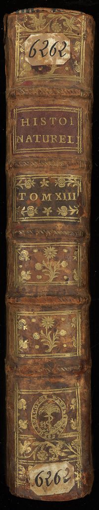 0001 - Page sans numérotation - [Dos]