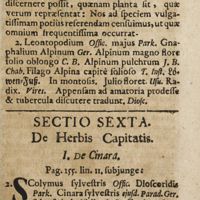 0090 - Page 69 - XIV. De gnaphalio / Sectio sexta. De herbis capitatis. I. De cinara