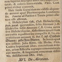 0103 - Page 82 - XVI. De abrotano