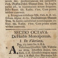 0109 - Page 88 - IV. De eryngio / Sectio octava. De herbis monospermis. I. De valeriana