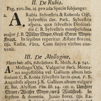0124 - Page 103 - Sectio decima. De herbis stellatis. II. De rubia / III. De mollugine