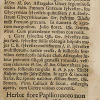 0216 - Page 195 - Herbae flore papilionaceo non scandentes trifoliae. XXII. De trifolio