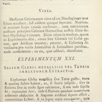 0118 - Page 95 - Experimentum XXI. Salium glebis metallicis vel terris immixtorum extractio
