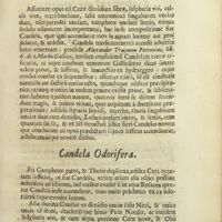 0112 - Page 91 - Candela ardens in aqua / Candela odorifera