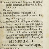 0024 - Page sans numérotation - Index capitum, membrorum, quaestionum, canonum, punctorum