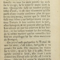 0596 - Page 571 - Sur la tortue