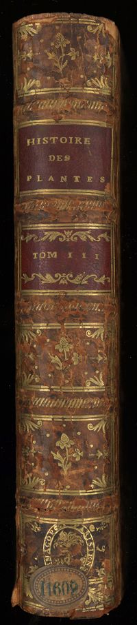 0001 - Page sans numérotation - [Dos]