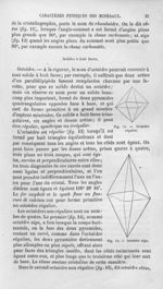 Octaèdre régulier / Octaèdre aigu - Histoire naturelle des drogues simples, ou Cours d'histoire natu [...]