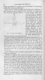 Flamme d'une chandelle - Histoire naturelle des drogues simples, ou Cours d'histoire naturelle profe [...]