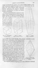 Rhomboèdre de l'argent rouge / Argent rouge en prisme hexaèdre / Argent rouge en dodécaèdre / Argent [...]