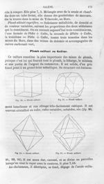 Plomb sulfuré - Histoire naturelle des drogues simples, ou Cours d'histoire naturelle professé à l'É [...]