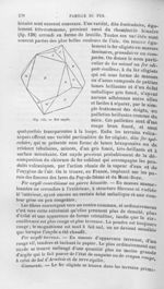 Fer oxydé - Histoire naturelle des drogues simples, ou Cours d'histoire naturelle professé à l'École [...]