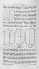 Alumine fluosilicatée - Histoire naturelle des drogues simples, ou Cours d'histoire naturelle profes [...]