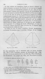 Zinc sulfuré - Histoire naturelle des drogues simples, ou Cours d'histoire naturelle professé à l'Éc [...]