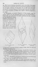 Chaux carbonatée - Histoire naturelle des drogues simples, ou Cours d'histoire naturelle professé à  [...]