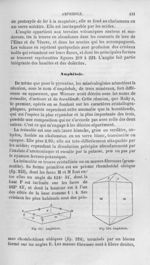 Amphibole - Histoire naturelle des drogues simples, ou Cours d'histoire naturelle professé à l'École [...]
