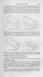 Strontiane - Histoire naturelle des drogues simples, ou Cours d'histoire naturelle professé à l'Écol [...]