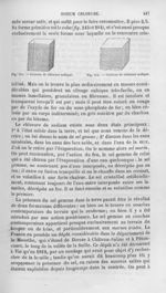 Cristaux de chlorure sodique - Histoire naturelle des drogues simples, ou Cours d'histoire naturelle [...]