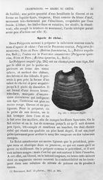 Polypore ongulé - Histoire naturelle des drogues simples, ou Cours d'histoire naturelle professé à l [...]