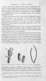 Ergot du seigle / Ergot du blé / Ergot du diss - Histoire naturelle des drogues simples, ou Cours d' [...]