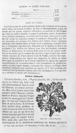Lichen d'Islande - Histoire naturelle des drogues simples, ou Cours d'histoire naturelle professé à  [...]
