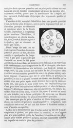 Amidon de blé - Histoire naturelle des drogues simples, ou Cours d'histoire naturelle professé à l'É [...]