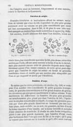 Amidon de seigle / Amidon d'orge - Histoire naturelle des drogues simples, ou Cours d'histoire natur [...]