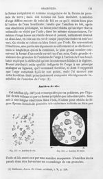 Amidon de riz / Amidon de maïs - Histoire naturelle des drogues simples, ou Cours d'histoire naturel [...]