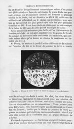 Mélange de farine de blé et de fécule de pomme de terre - Histoire naturelle des drogues simples, ou [...]