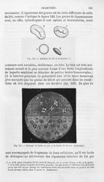 Mélange de farine de blé et de farine de haricot - Histoire naturelle des drogues simples, ou Cours  [...]