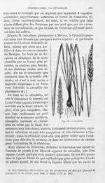 Cévadille - Histoire naturelle des drogues simples, ou Cours d'histoire naturelle professé à l'École [...]