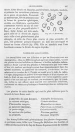 Arrow-root - Histoire naturelle des drogues simples, ou Cours d'histoire naturelle professé à l'Écol [...]