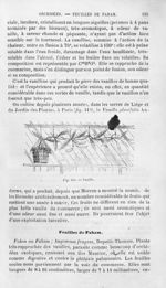 Vanille - Histoire naturelle des drogues simples, ou Cours d'histoire naturelle professé à l'École s [...]