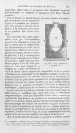 Four à préparer le goudron - Histoire naturelle des drogues simples, ou Cours d'histoire naturelle p [...]