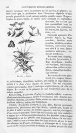 Epurge - Histoire naturelle des drogues simples, ou Cours d'histoire naturelle professé à l'École su [...]