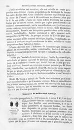 Semences du médicinier sauvage - Histoire naturelle des drogues simples, ou Cours d'histoire naturel [...]