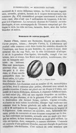 Pignon d'Inde - Histoire naturelle des drogues simples, ou Cours d'histoire naturelle professé à l'É [...]