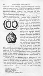 Camiri - Histoire naturelle des drogues simples, ou Cours d'histoire naturelle professé à l'École su [...]